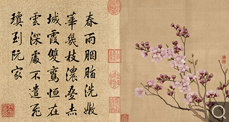 清 花卉冊(cè)